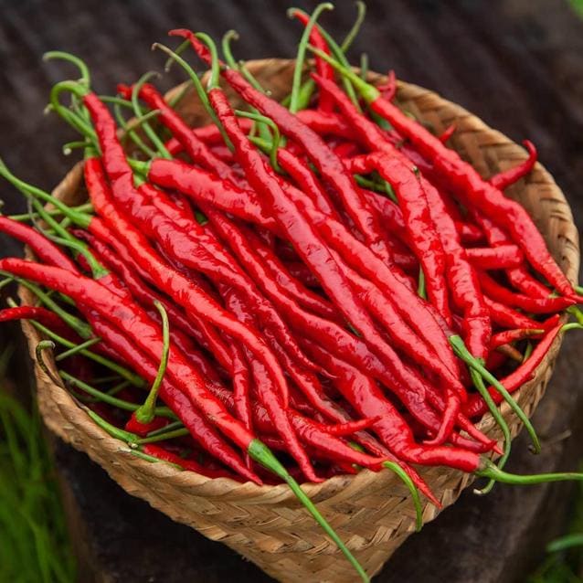 Hathei chilli (Twitter) Hathei chilli (Twitter)