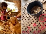 Varun Dhawan shared a picture from his holiday.