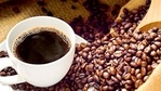 Piyush Goyal said the Centre has no plans to close the Coffee Board but proposed that it should be shifted to the agriculture ministry from the commerce ministry. Piyush Goyal said the Centre has no plans to close the Coffee Board but proposed that it should be shifted to the agriculture ministry from the commerce ministry.