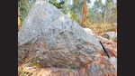 The site at Champua where Mazumder and Chaudhuri found the rock that contained the zircon crystals. The site at Champua where Mazumder and Chaudhuri found the rock that contained the zircon crystals.
