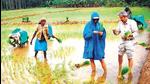 Bajar Wahegaon in Jalna district, is reportedly tanker free due to the collective efforts of villagers and Vanarai’s bamboo plantation project. (REPRESENTATIVE PHOTO) Bajar Wahegaon in Jalna district, is reportedly tanker free due to the collective efforts of villagers and Vanarai’s bamboo plantation project. (REPRESENTATIVE PHOTO)