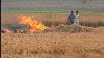 Last year, farm fires in Haryana’s paddy fields dipped. There was an 11% reduction in stubble burning cases. (HT Photo) Last year, farm fires in Haryana’s paddy fields dipped. There was an 11% reduction in stubble burning cases. (HT Photo)