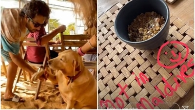Varun Dhawan shared a picture from his holiday. Varun Dhawan shared a picture from his holiday.