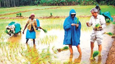 Bajar Wahegaon in Jalna district, is reportedly tanker free due to the collective efforts of villagers and Vanarai’s bamboo plantation project. (REPRESENTATIVE PHOTO)