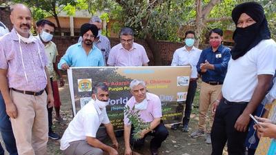 The plantation drive underway at Punjab Agricultural University on Saturday. (HT Photo) The plantation drive underway at Punjab Agricultural University on Saturday. (HT Photo)