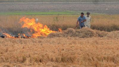 Last year, farm fires in Haryana’s paddy fields dipped. There was an 11% reduction in stubble burning cases. (HT Photo) Last year, farm fires in Haryana’s paddy fields dipped. There was an 11% reduction in stubble burning cases. (HT Photo)