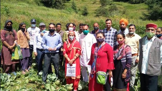 A team of scientists with farmers after examining the cabbage crop that has been hit by a fungal disease in the Chhota Bhangal valley of Kangra district earlier this week. (HT Photo) A team of scientists with farmers after examining the cabbage crop that has been hit by a fungal disease in the Chhota Bhangal valley of Kangra district earlier this week. (HT Photo)