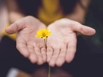 Mindfulness essentially says when you are in a situation what you need to try doing is to be fully there.(Pixabay) Mindfulness essentially says when you are in a situation what you need to try doing is to be fully there.(Pixabay)