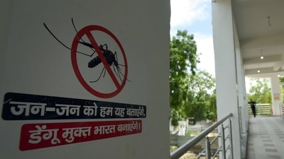 Dengue cases are on rise across the country