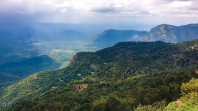 Yercaud, Tamil Nadu: If you have enough time in hand then you have to plan a road trip to Yercaud. Situated around 1515 metres above sea level, Yercaud is known for its coffee plantations and lush greenery.&nbsp; (Instagram/@theadventuresof_ra)