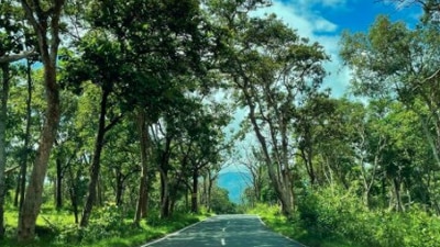 Bandipur, Karnataka: This famous tiger reserve and national park in Karnataka is known for its small population of tigers. The park is home to Indian elephants, spotted deer, gaurs (bison), antelopes and numerous other native species.&nbsp; (Instagram/@seasunandsmiles)