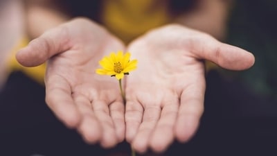 Mindfulness essentially says when you are in a situation what you need to try doing is to be fully there. (Pixabay) Mindfulness essentially says when you are in a situation what you need to try doing is to be fully there. (Pixabay)