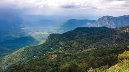 Yercaud, Tamil Nadu: If you have enough time in hand then you have to plan a road trip to Yercaud. Situated around 1515 metres above sea level, Yercaud is known for its coffee plantations and lush greenery.&nbsp;(Instagram/@theadventuresof_ra)