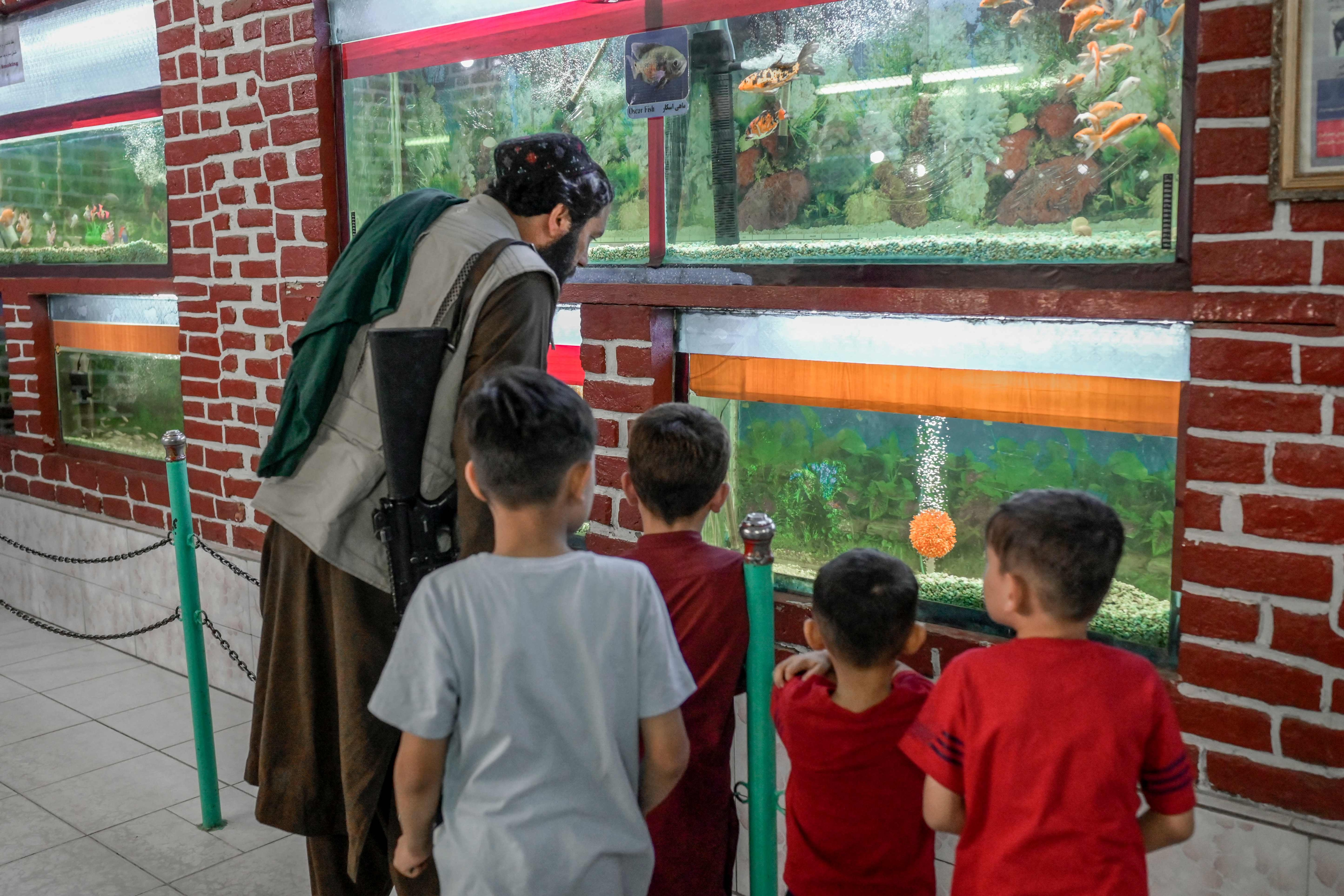 A Taliban fighter along with children look at aquariums at the Kabul Zoo.(AFP) A Taliban fighter along with children look at aquariums at the Kabul Zoo.(AFP)