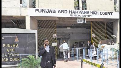 The HC order on no tree felling for now came in a petition that challenged auction notices of Rupnagar and Hoshiarpur panchayats for felling Khair trees. (HT Photo)