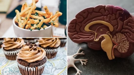 When we are not eating the right kind of food, it may affect the balance of neurotransmitters like dopamine and serotonin. A study finds that diet high in sugar and saturated fats can change the behaviour of the hippocampus in as little as seven days. Luke Coutinho and Dr Siddhant Bhargava on worst foods for brain.(Unsplash, Pixabay)