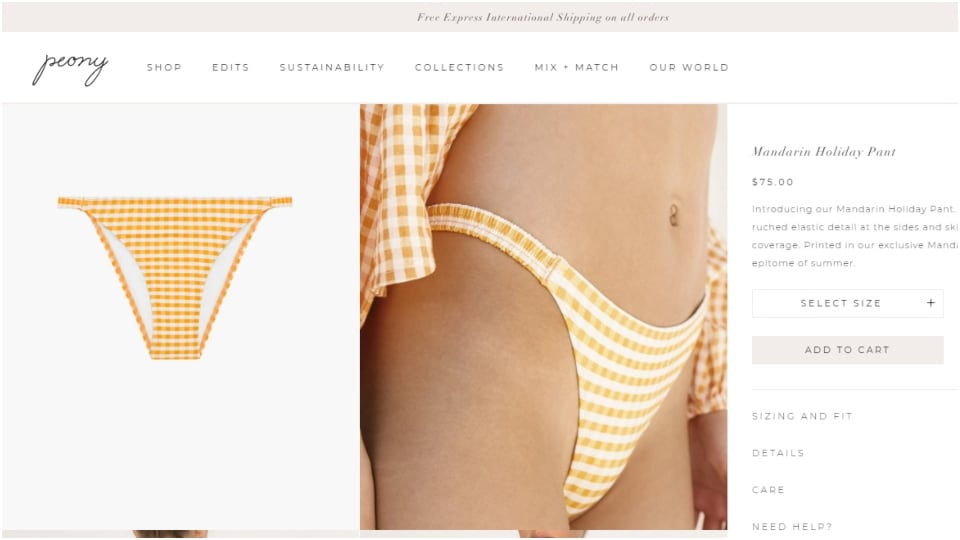Ananya Panday's bikini set(peonyswimwear.com)