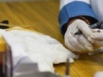 Serological surveys are used by epidemiologists to determine the prevalence of a disease in a population. Serological surveys are used by epidemiologists to determine the prevalence of a disease in a population.