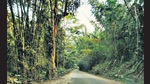 The proposal for exploration of uranium mining in Telangana’s Nallamala forests was considered by the FAC in its earlier meetings held on May 22, 2019 and also on April 23, 2020. (ANI) The proposal for exploration of uranium mining in Telangana’s Nallamala forests was considered by the FAC in its earlier meetings held on May 22, 2019 and also on April 23, 2020. (ANI)