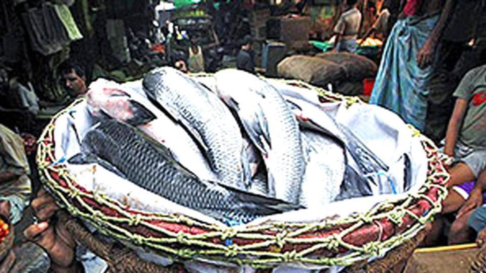 Bangladesh to send 2,000 tonnes of Hilsa fish ahead of Durga Puja