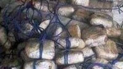 The Directorate of Revenue Intelligence (DRI) seized the consignment after it was smuggled from Afghanistan’s Kandahar district via Iran’s Bandar Abbas port. (Image used for representation). (FILE PHOTO.) The Directorate of Revenue Intelligence (DRI) seized the consignment after it was smuggled from Afghanistan’s Kandahar district via Iran’s Bandar Abbas port. (Image used for representation). (FILE PHOTO.)