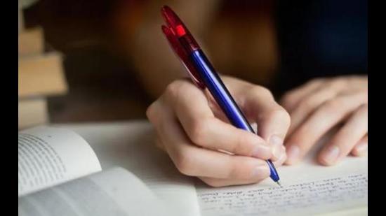 The habit of writing a diary helps a writer. My diary stays not only by my bedside but also joins me wherever I go. Its pages on return are always filled with so much new. (Representative image)