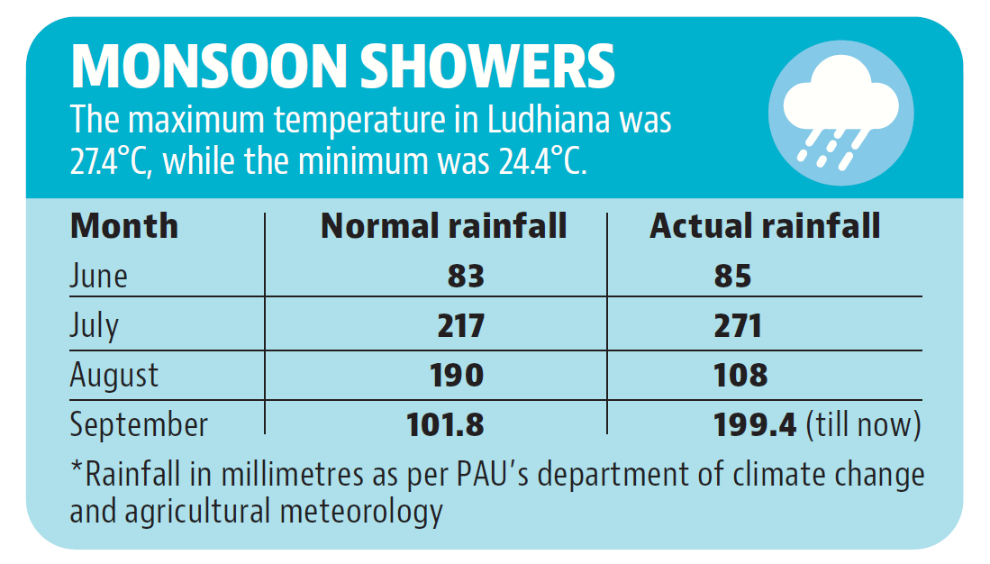 For the last few years, Ludhiana has been reporting deficit rainfall. However, excess rainfall was witnessed this year. (HT Photo)