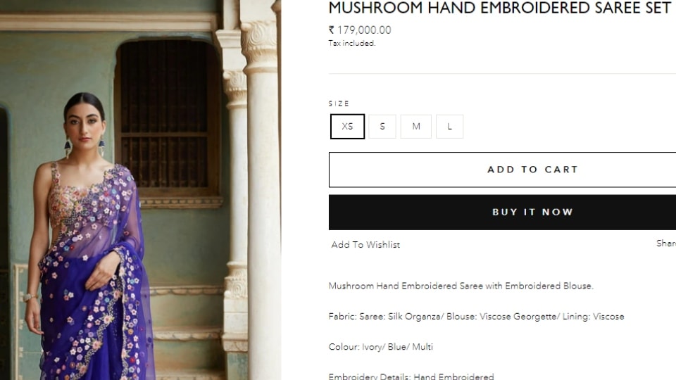 Mushroom Hand Embroidered Saree Set(rahulmishra.in)