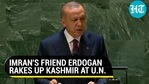 IMRAN'S FRIEND ERDOGAN RAKES UP KASHMIR AT U.N.