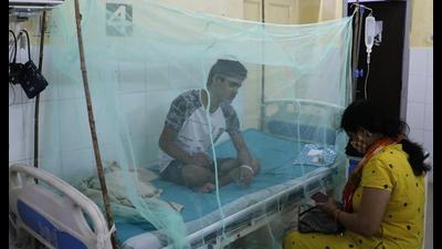 A dengue patient rests under a mosquito net at the dengue ward of a government hospital in Prayagraj. (AP Photo) A dengue patient rests under a mosquito net at the dengue ward of a government hospital in Prayagraj. (AP Photo)