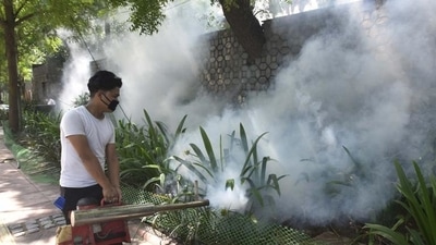 So far, Delhi has reported 211 cases of dengue this year, with over 50 cases reported last week. (HT Photo) So far, Delhi has reported 211 cases of dengue this year, with over 50 cases reported last week. (HT Photo)