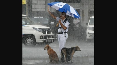 The image prompted people to share appreciative comments. (Twitter/@KolkataPolice)