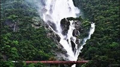 The Dudhsagar waterfalls --- a world-famous attraction lies in the heart of the Bhagwan Mahavir Wildlife Sanctuary in Mollem along Goa’s border with Karnataka. The access to the waterfall is via a mud road that is unusable during the monsoons owing to the fast flowing swollen Dudhsagar River making it dangerous to cross. (FILE PHOTO.)
