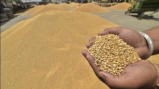 It is the first time a study has found arsenic in locally grown food items – rice, wheat and potato – even though the presence of the chemical in groundwater was known for years. (File photo)