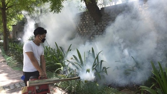 So far, Delhi has reported 211 cases of dengue this year, with over 50 cases reported last week.(HT Photo) So far, Delhi has reported 211 cases of dengue this year, with over 50 cases reported last week.(HT Photo)