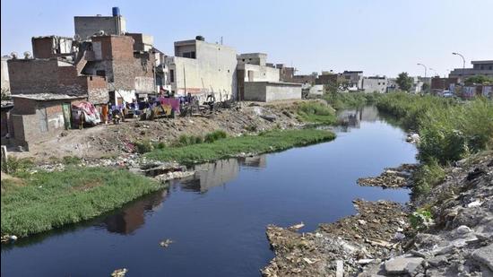 The STF chief met MC commissioner Pardeep Sabharwal on Wednesday to review works taken up under Buddha Nullah project. (Representative photo)