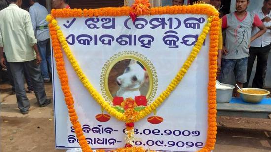 The owner of the dog in Odisha’s Bhadrak district has put up its framed photograph in front of his fast food shop (HT Photo)