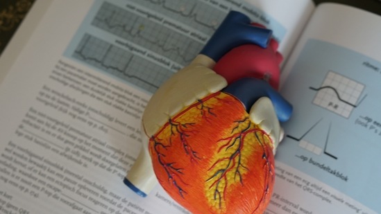Lowers risk of heart attack: Numerous studies have found that consuming flaxseed every day can have direct effect on your heart health and reduce the risk of suffering from a stroke.(Unsplash)