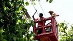 The cash-strapped Maharashtra State Electricity Distribution Company Limited (MSEDCL) has decided to cut the power supply of consumers even if they have not paid a month’s electricity bills. (HT (FOR REPRESENTATIONAL PURPOSE ONLY)) The cash-strapped Maharashtra State Electricity Distribution Company Limited (MSEDCL) has decided to cut the power supply of consumers even if they have not paid a month’s electricity bills. (HT (FOR REPRESENTATIONAL PURPOSE ONLY))