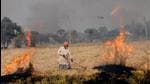 A farmer burns paddy stubble at Dhearhi jatta village on NH-7 in Patiala, Punjab, on October 29, 2020. (HT archive) A farmer burns paddy stubble at Dhearhi jatta village on NH-7 in Patiala, Punjab, on October 29, 2020. (HT archive)