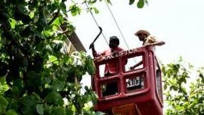 The cash-strapped Maharashtra State Electricity Distribution Company Limited (MSEDCL) has decided to cut the power supply of consumers even if they have not paid a month’s electricity bills. (HT (FOR REPRESENTATIONAL PURPOSE ONLY)) The cash-strapped Maharashtra State Electricity Distribution Company Limited (MSEDCL) has decided to cut the power supply of consumers even if they have not paid a month’s electricity bills. (HT (FOR REPRESENTATIONAL PURPOSE ONLY))