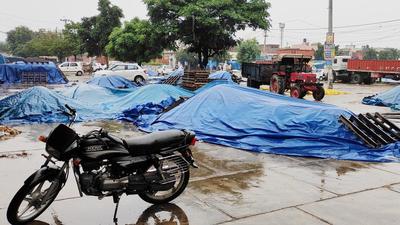 Paddy grain lying in the open after rain at the Ladwa grain market of Haryana’s Kurukshetra district on Thursday. In neighbouring Punjab, procurement will start formally from October 1. (HT photo) Paddy grain lying in the open after rain at the Ladwa grain market of Haryana’s Kurukshetra district on Thursday. In neighbouring Punjab, procurement will start formally from October 1. (HT photo)