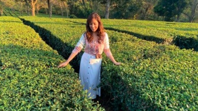 Sharing her tea garden stills on Instagram, Yami Gautam captioned it, "If only I could have these in my backyard. Chai love." (Instagram/@yamigautam)