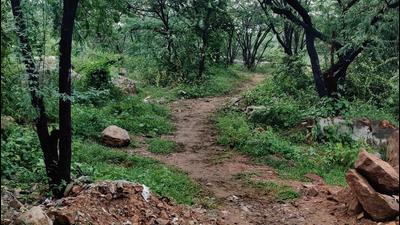 HT reported in July how smugglers from unauthorised neighbourhoods near the Asola Bhatti Wildlife Sanctuary were using the forest routes to bring in large quantities of liquor from Haryana to Delhi (HT Photo) HT reported in July how smugglers from unauthorised neighbourhoods near the Asola Bhatti Wildlife Sanctuary were using the forest routes to bring in large quantities of liquor from Haryana to Delhi (HT Photo)