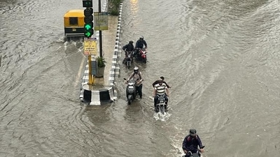 The Punjab Agricultural University experts said that light to moderate rainfall being witnessed at most parts of the state was good for the paddy crop. (HT Photo/Gurpreet Singh)