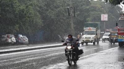 Maharashtra has received either normal or excess rainfall this season during the last leg of Southwest Monsoon, as per officials of the India Meteorological Department (IMD) (HT) Maharashtra has received either normal or excess rainfall this season during the last leg of Southwest Monsoon, as per officials of the India Meteorological Department (IMD) (HT)