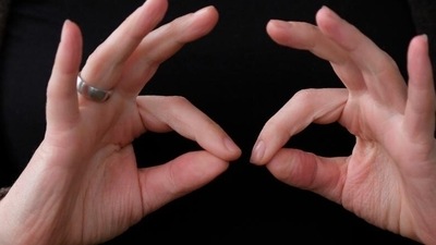 Sign language is not what you think: diverse, regional and complex (picture-alliance/dpa/A. Dedert) Sign language is not what you think: diverse, regional and complex (picture-alliance/dpa/A. Dedert)
