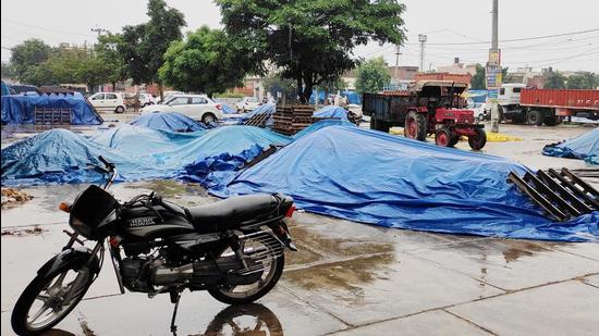 Heavy rain worries paddy farmers in Punjab, Haryana days ahead of  procurement - Hindustan Times