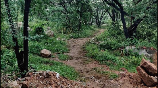 HT reported in July how smugglers from unauthorised neighbourhoods near the Asola Bhatti Wildlife Sanctuary were using the forest routes to bring in large quantities of liquor from Haryana to Delhi (HT Photo)