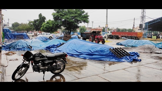 Unsold Parmal paddy laying in the open following rain at Ladwa grain market in Kurukshetra district. (HT Photo)